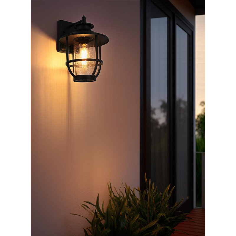 Stefani 9 Inch Outdoor Wall Sconce in Black