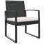 Chaises de patio en rotin PP-147960963-147960962