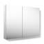 Embark Slim Rectangular Two-Door Medicine Cabinet-1560594342