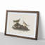 Brown Larks by John James Audubon - Framed Print-55621277-55621278