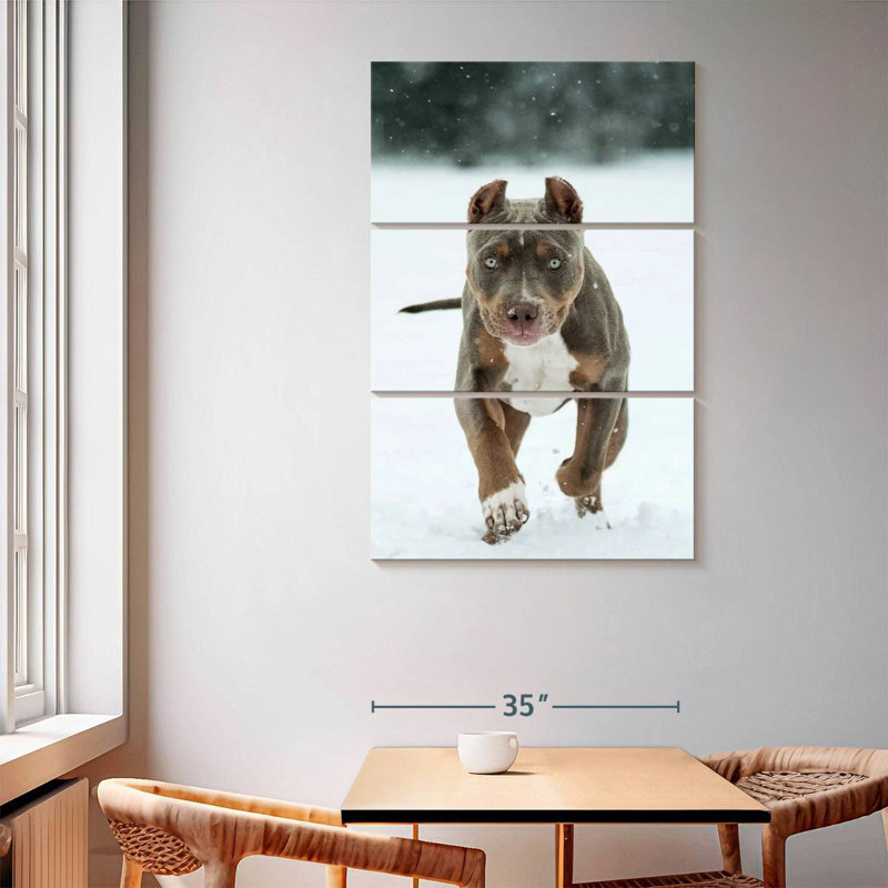 Brampt Pit Bull On Snow, 65" H x 42" W