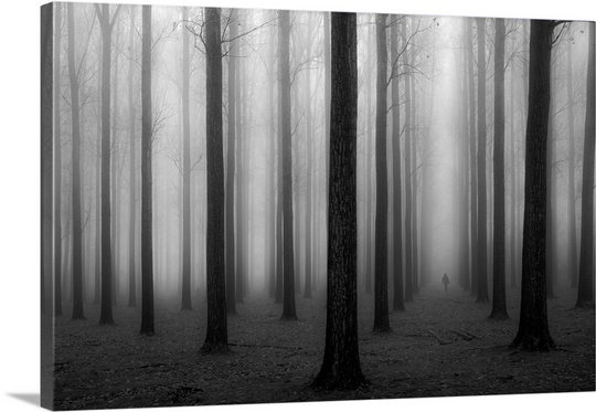 "Dans un brouillard" par Jochen Bongaerts, reproduction de photo sur toile, H 32 po x l 48 po x P 1,25 po