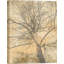 3AI6376 Below My Tree I by Alessio Aprile - Wrapped Canvas Print-1815148093