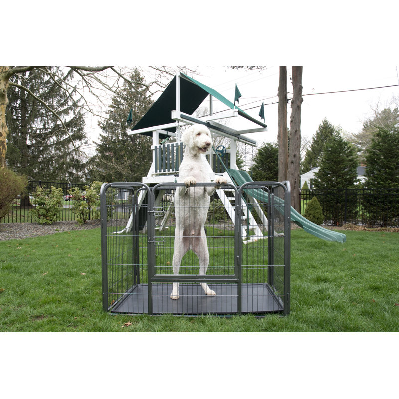 Enclos pour animaux de compagnie Cyrus, H 28 po x l 32 po x L 50 po