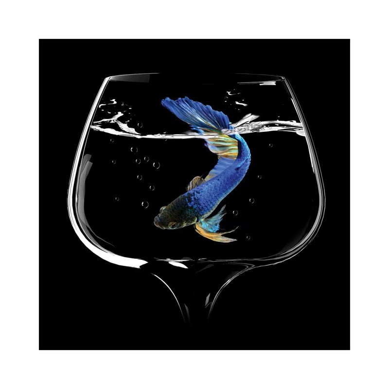 Betta Fish Dance by Antonyus Bunjamin - Wrapped Canvas Print, 30.48 cm H x 30.48 cm W