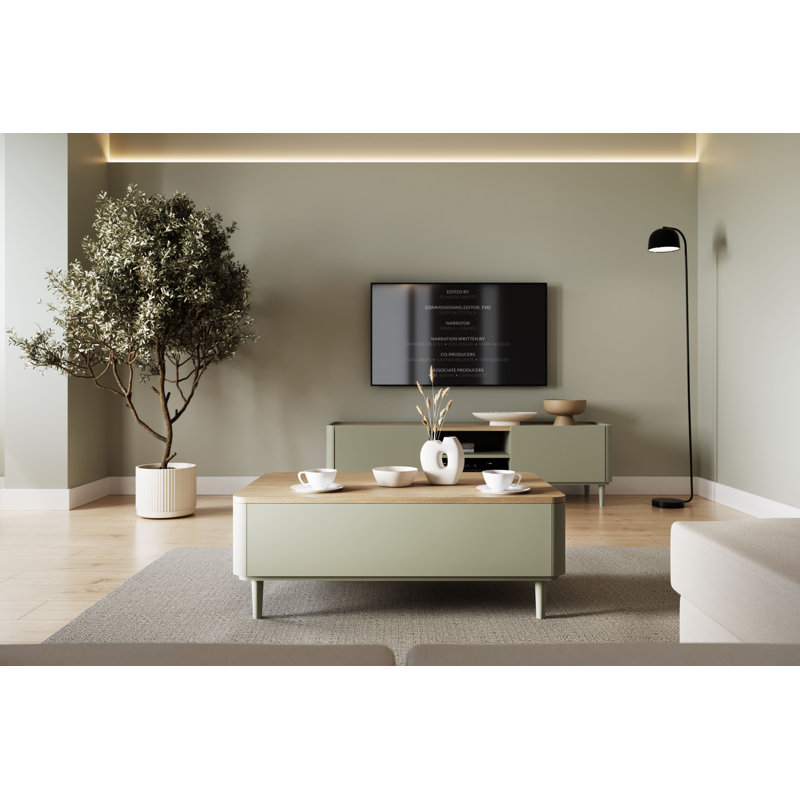 Blackett Four Leg Coffee Table with Storage, Green