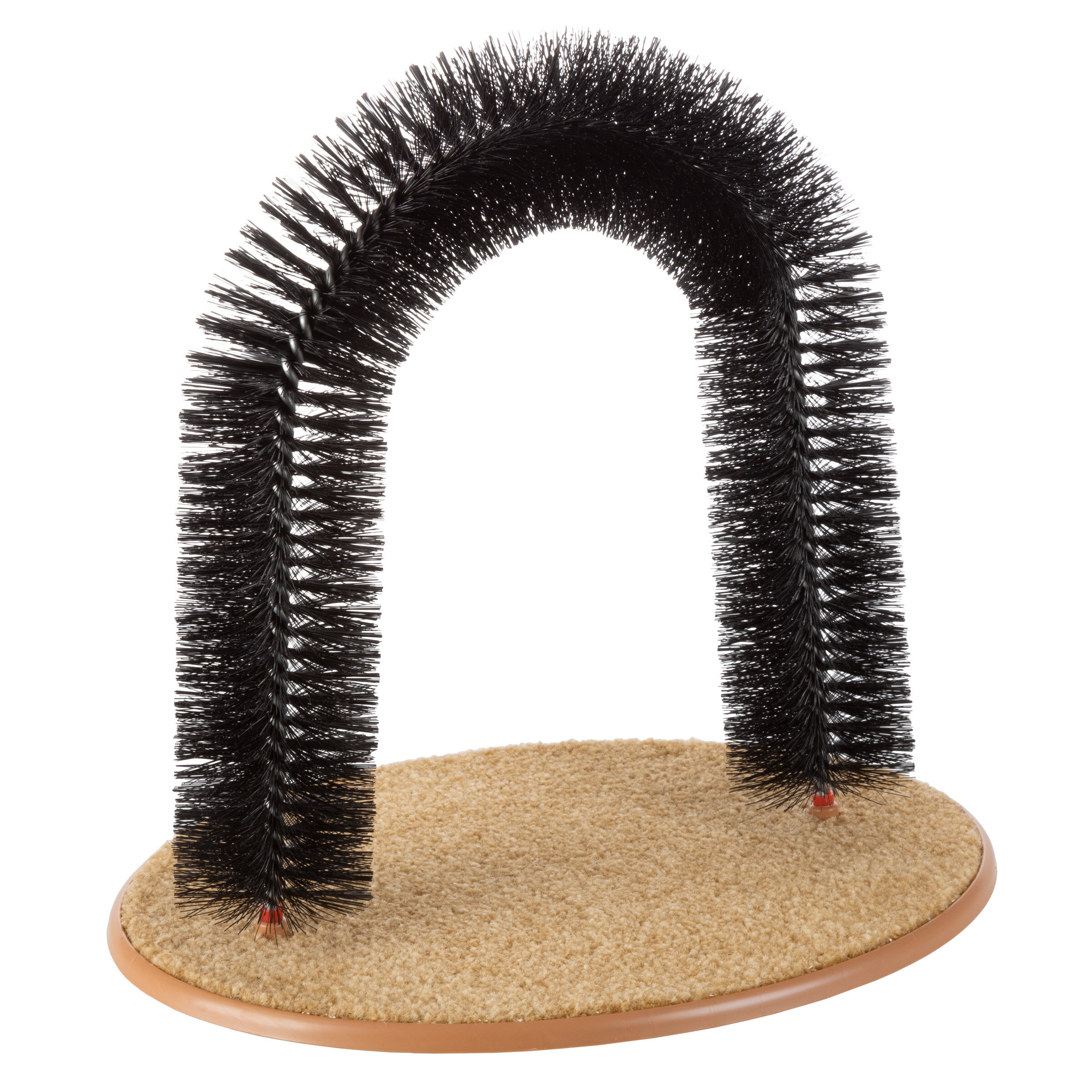 Cat grooming shop brush arch