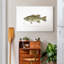 « Large-Mouthé Black Bass », impression sur toile-58118661