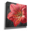 Art mural sur toile  «Vivid Floral 3 C» par Danhui Nai-804448731