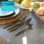 Argon Tableware Stainless Steel Cutlery Set-111421150