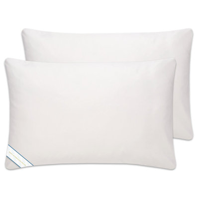 BeautySleep 2 Pack Down Alternative Pillow Set