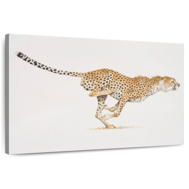 Brampt Running Wild Cat, 20" H x 30" W