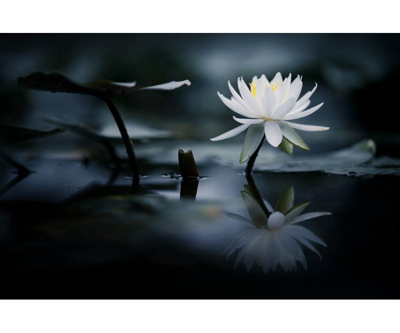 Wrapped Canvas Print, 60.96 cm H x 91.44 cm W