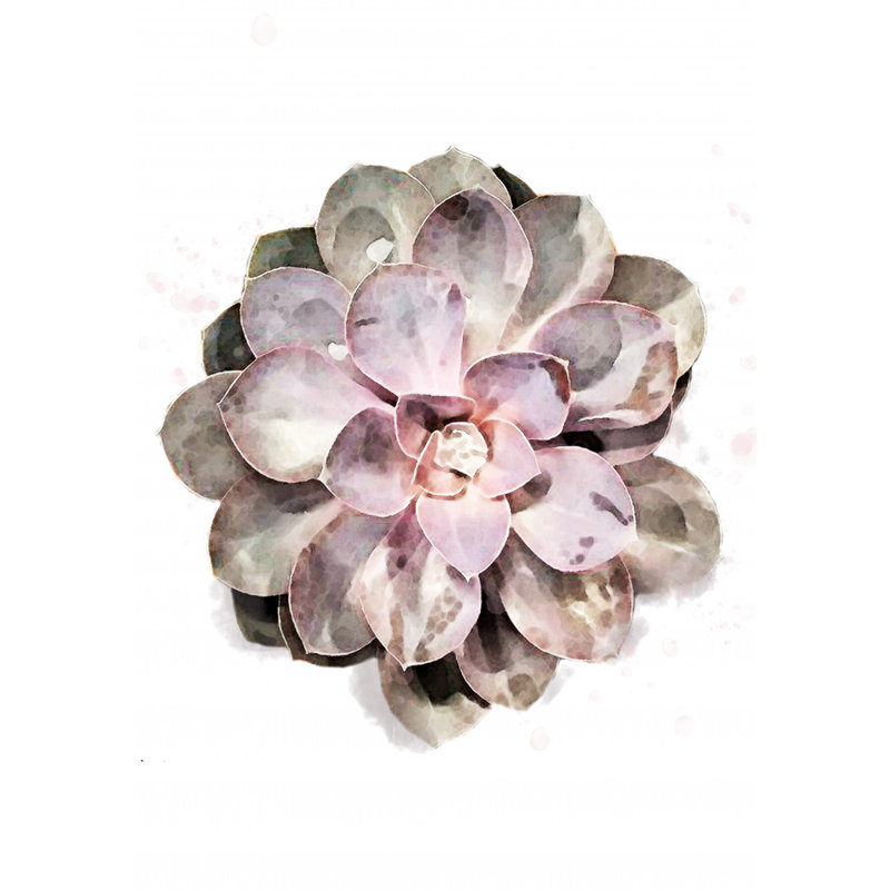 Wrapped Canvas Print, 76.2 cm H x 50.8 cm W