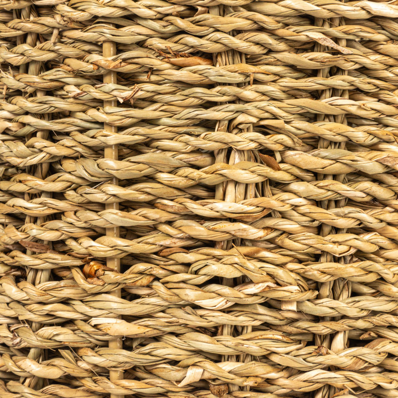 Plateau rond multi-sections en ruppie maritime