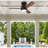 Halley 44'' Ceiling Fan with Light Kit