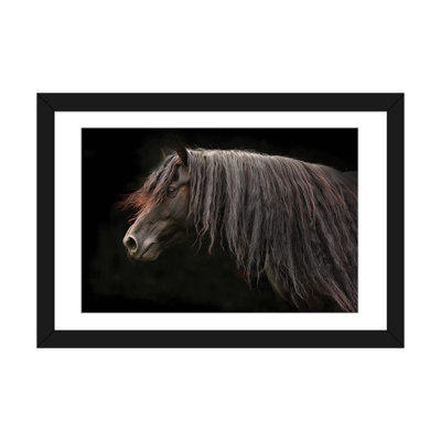 " Ebony " by Tony Stromberg