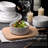 Tristyn Piece Stoneware Dinnerware Set - Service for 4-101148434