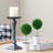 Set of 3 Mini Topiaries in Decorative Pots
