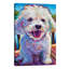Bichon Frise by Robert Phelps - Wrapped Canvas Painting-742052520
