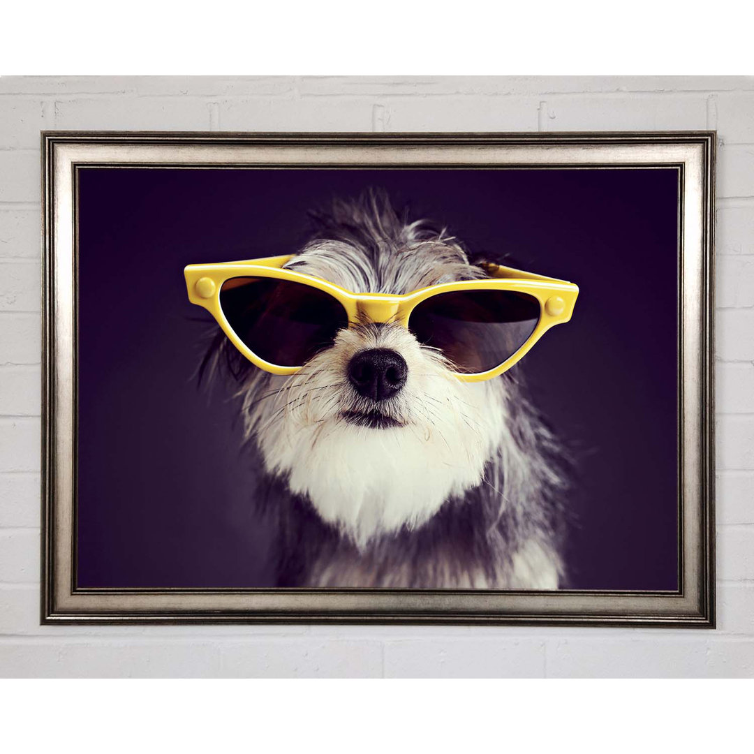 Sonnenbrille Hund Pooch Gerahmter Druck Wandkunst