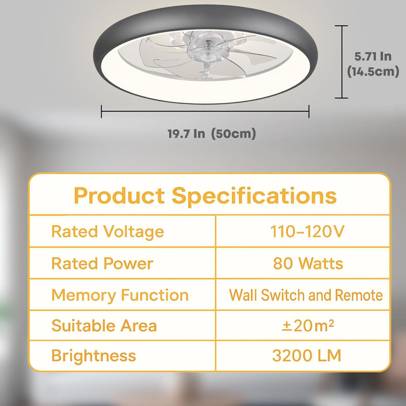 Ceiling Fan With Light