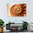 Aletra Nautilus Shell Inside-107680919