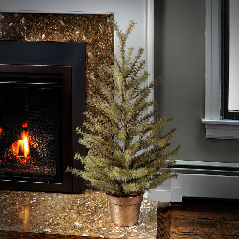 Sapin 36 po