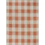 Outdoor Modern Boho Burnt Orange Checkered Rug-87976748