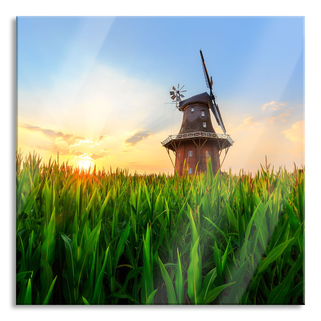 Glasbild Schöne Windmühle in einem Feld