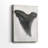 Watercolor Sharks Tooth I -Gallery Wrapped Cavas-1616553374