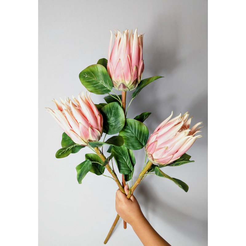 Protea Arrangement Stems (Set of 3)