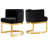 Gianna Barnier Wingback Arm Chair-958095839-958095842