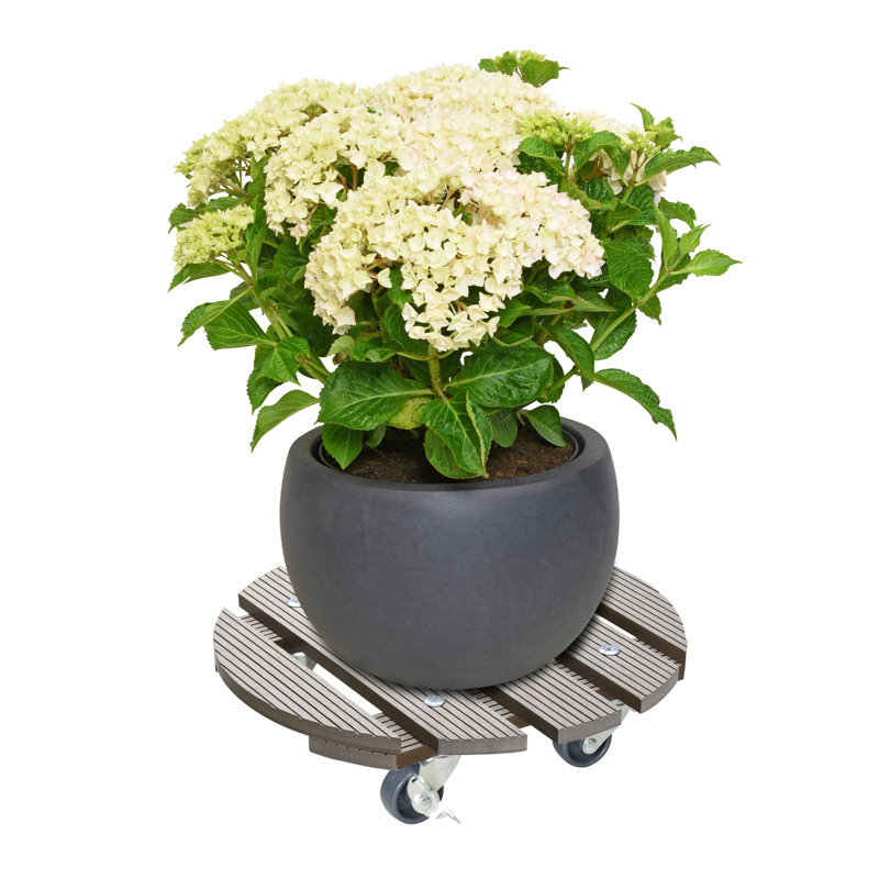 Wagner Design Yourself 11.4" Round WPC Plant Caddy Jansen, Taupe