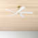 Adalai Ceiling Fan