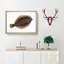 Turbot Fish by Edward Donovan - Picture Frame Painting Print-55614926-55614927