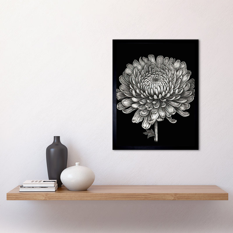Ilyana Detailed Chrysanthemum Flower Bloom Illustration - Single Picture Frame Print
