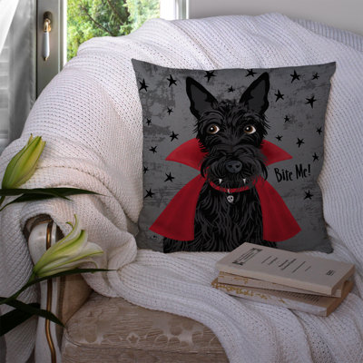Outdoor Throw Pillow