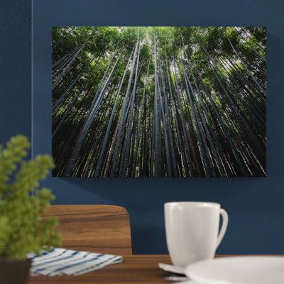 Landscape Woodland Trees Photographic - Wrapped Canvas