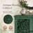 Accent Cabinet, 2-Door Display Storage Cabinet, Sideboard With Adjustable Shelf And Solid Wood Legs-1393433921