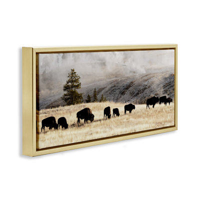 Bison broutant en pleine campagne brumeuse