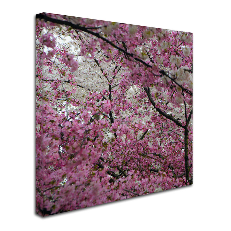 Nartuni "Cherry Blossoms 2014-3" par CATeyes, reproduction de photo sur toile tendue, H 24 po x l 24 po x P 2 po