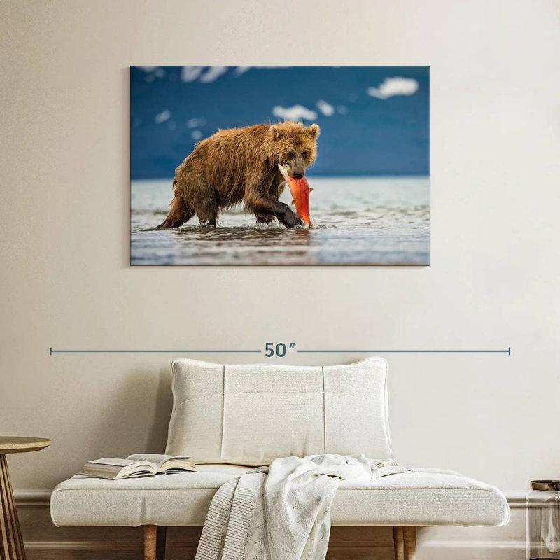 Grizzly de Brampt mangeant du saumon, H 26 po x l 39 po