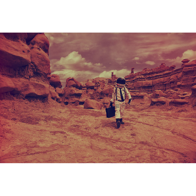 Martian Commute - Wrapped Canvas Print, 30cm H x 46cm W x 3.8cm D