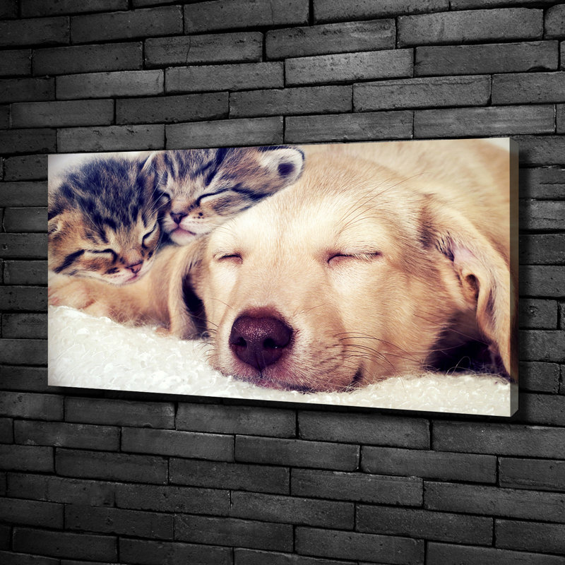 Puppy And Cats - No Frame Print on Canvas