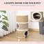 Cat Hideaway, Cat Condo