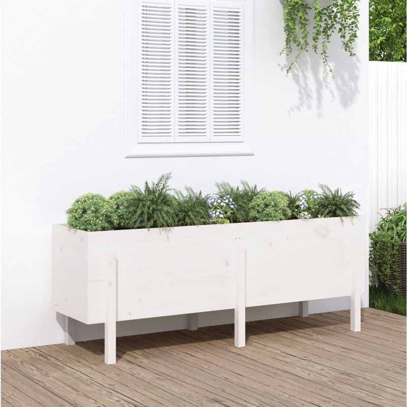 Meenakshi Wood Raised Garden Bed, Pine, White, 38cm H x 160cm W x 30cm D