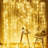 Vanbuskirk 9.8ft x 9.8ft LED String Light, Plug-in Curtain Fairy Light-40822174