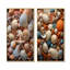 Classic Seashells By The Sea - Ensemble de 2 décorations murales coquillage-689665489-689665494