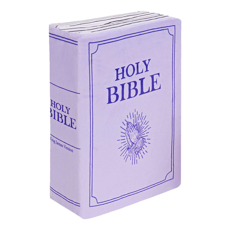 Coussin The Bible Bible, Mauve